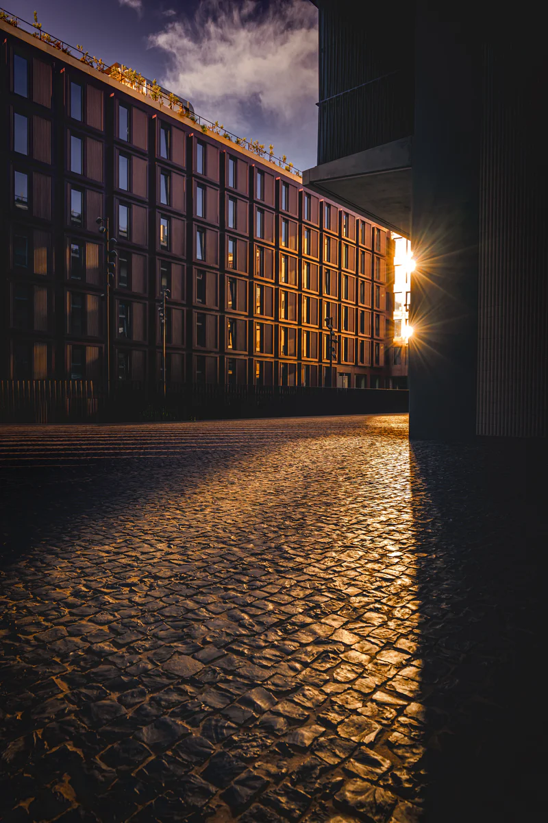 Sunset light reflecting on cobblestone street between modern buildings (Päikeseloojang peegeldub munakivitänaval kaasaegsete hoonete vahel)