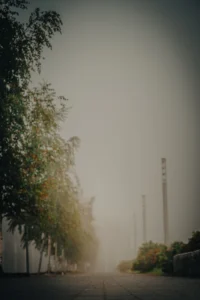 Tree-lined street with tall lamps fading into thick fog (Looduse ja tehiskeskkonna piiri kadumine)